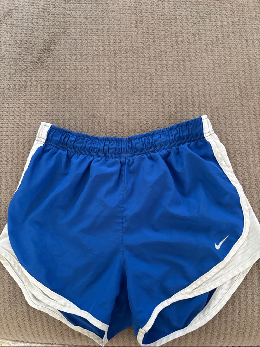 Nike Royal Blue and White Athletic Shorts